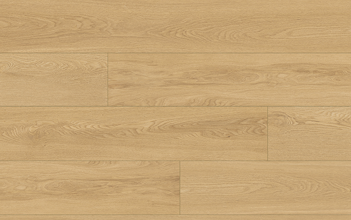 TRADITION AQUA protect 4V 65124 DUB CREMONA