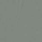 Dub šalvia štruktúra- cell