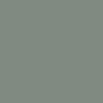 Šalvia matná- cell