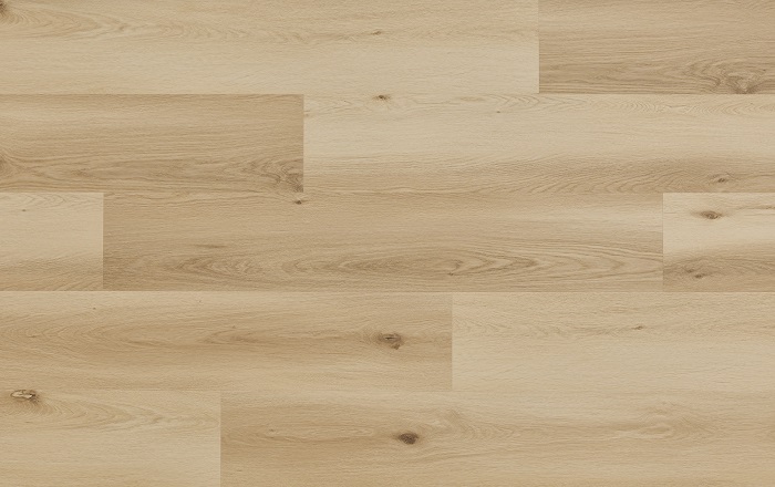 WOODRIC ACOUSTIC EIR DUB NORDLAND CWSA 207