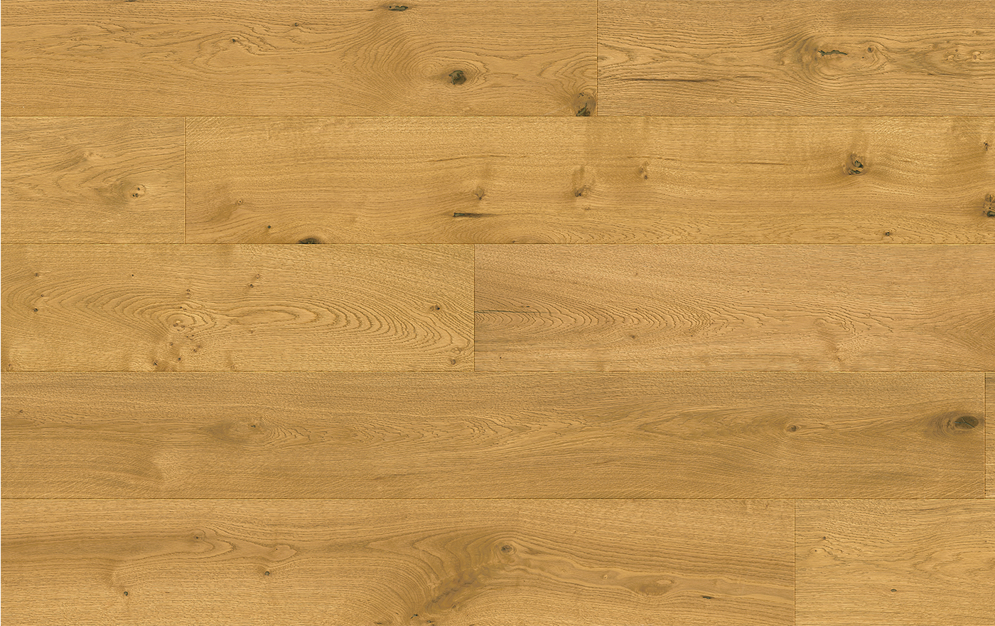 QUICK STEP CALA 7462 DUB PRIRODNY SUPER MAT - obrázok 2