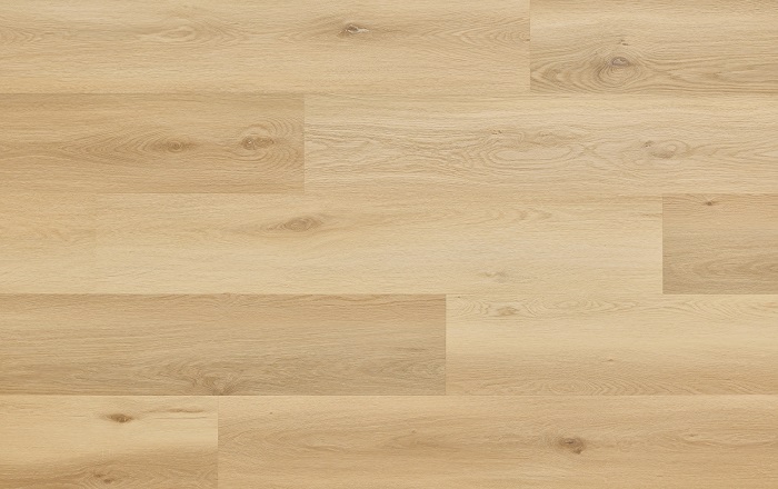 WOODRIC ACOUSTIC EIR DUB HIGHLANDS CWSA 205