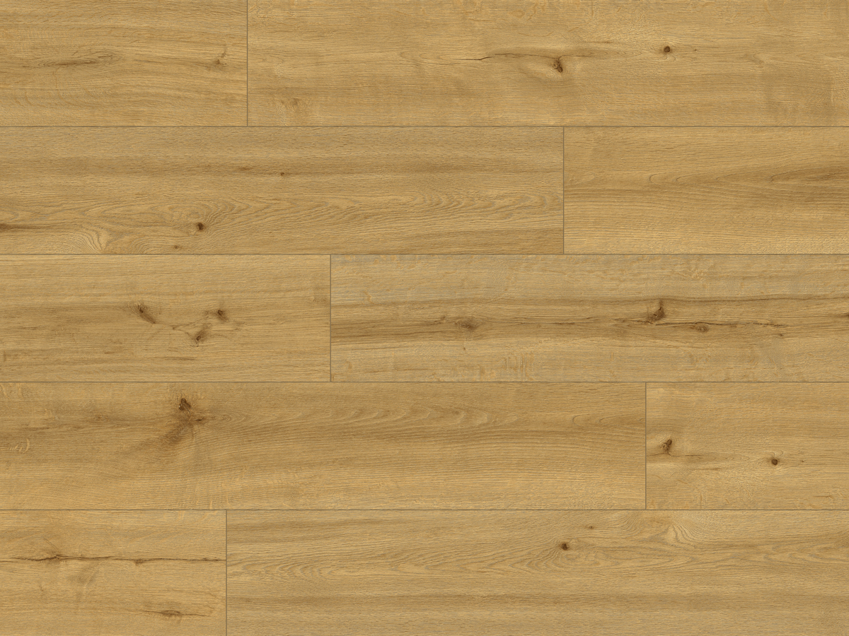 CLASSEN PRO NATURE 62543 CALDAS - obrázok 2