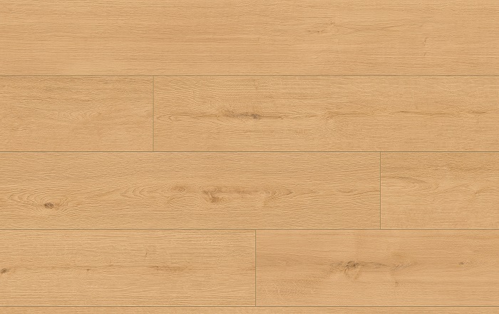 CLASSEN PRO NATURE 64633 DUB IPOLA