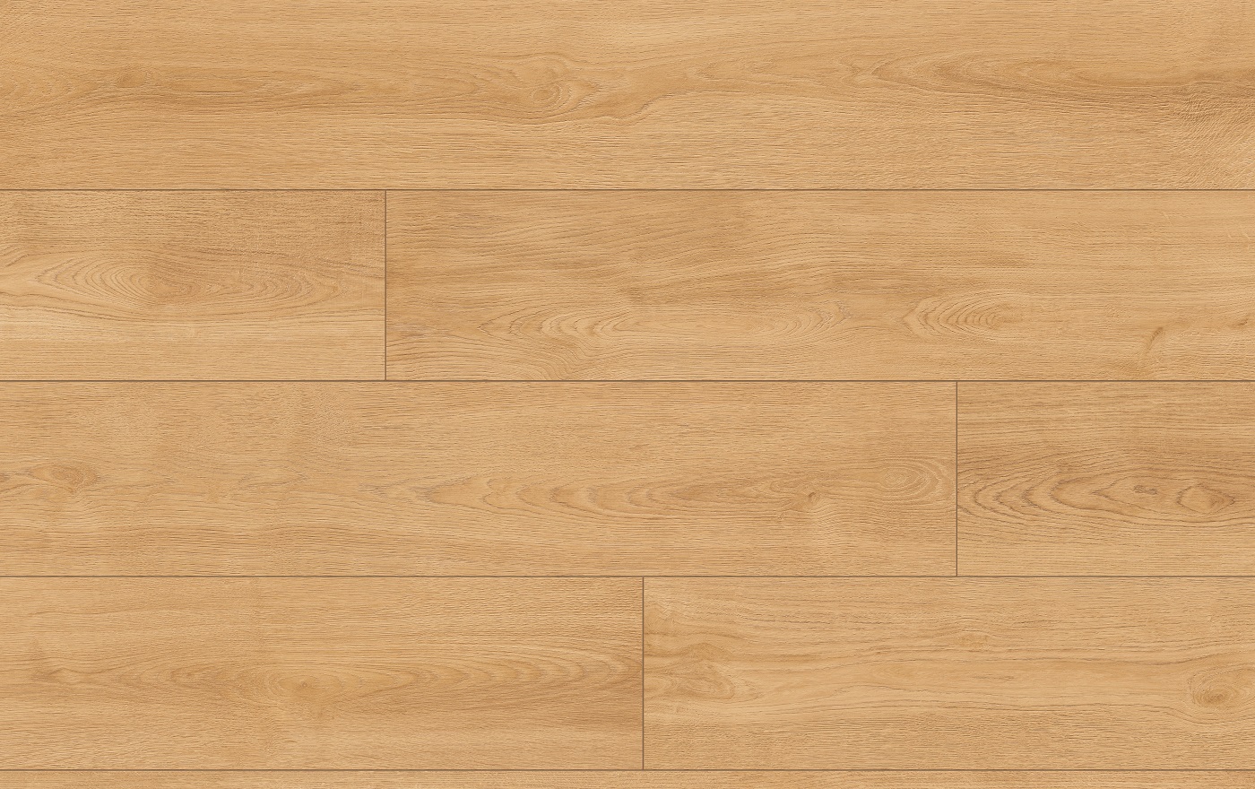 CLASSEN PRO NATURE 64632 DUB WAG - obrázok 3