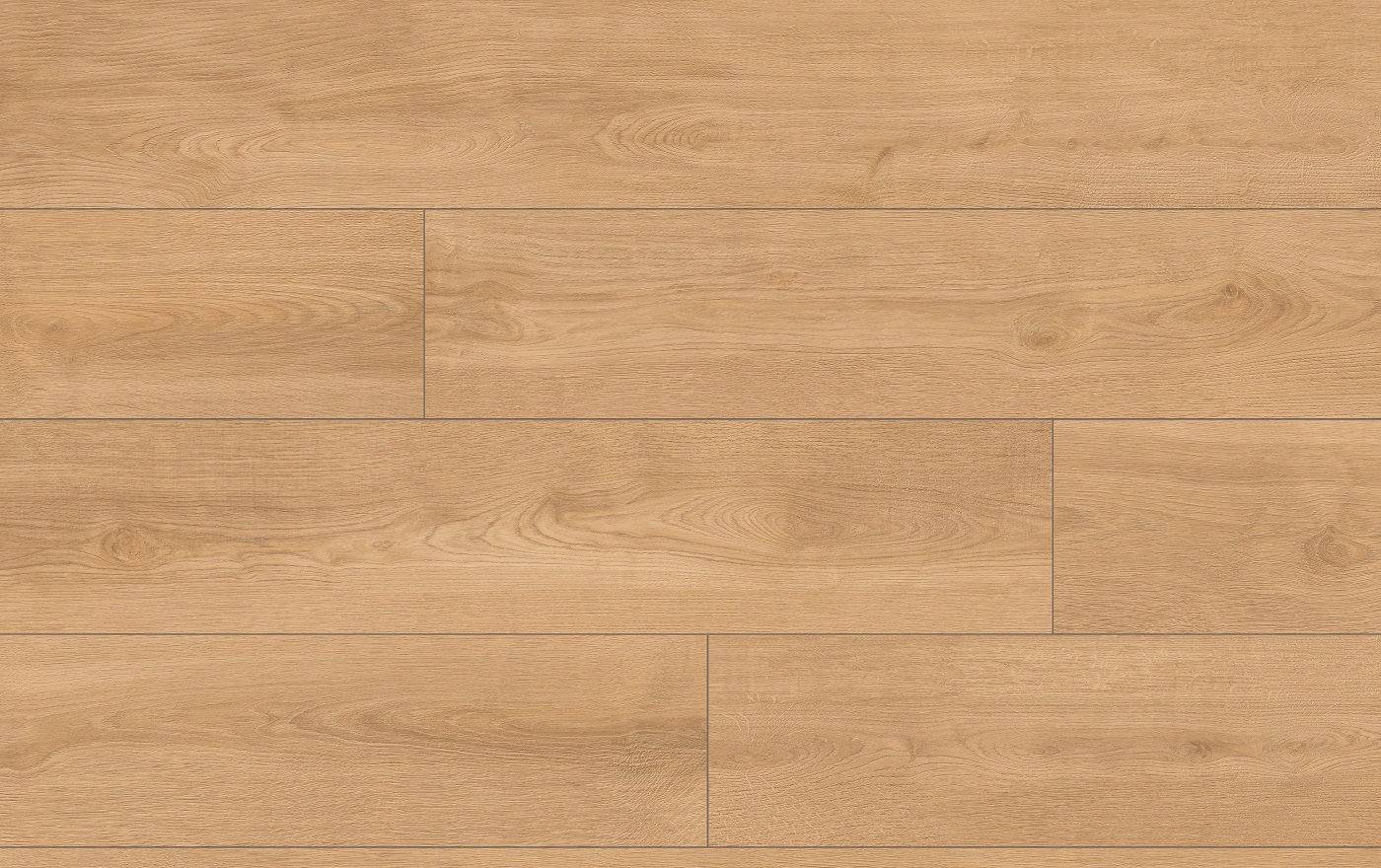 CLASSEN PRO NATURE 64636 DUB KYSUCA - obrázok 2