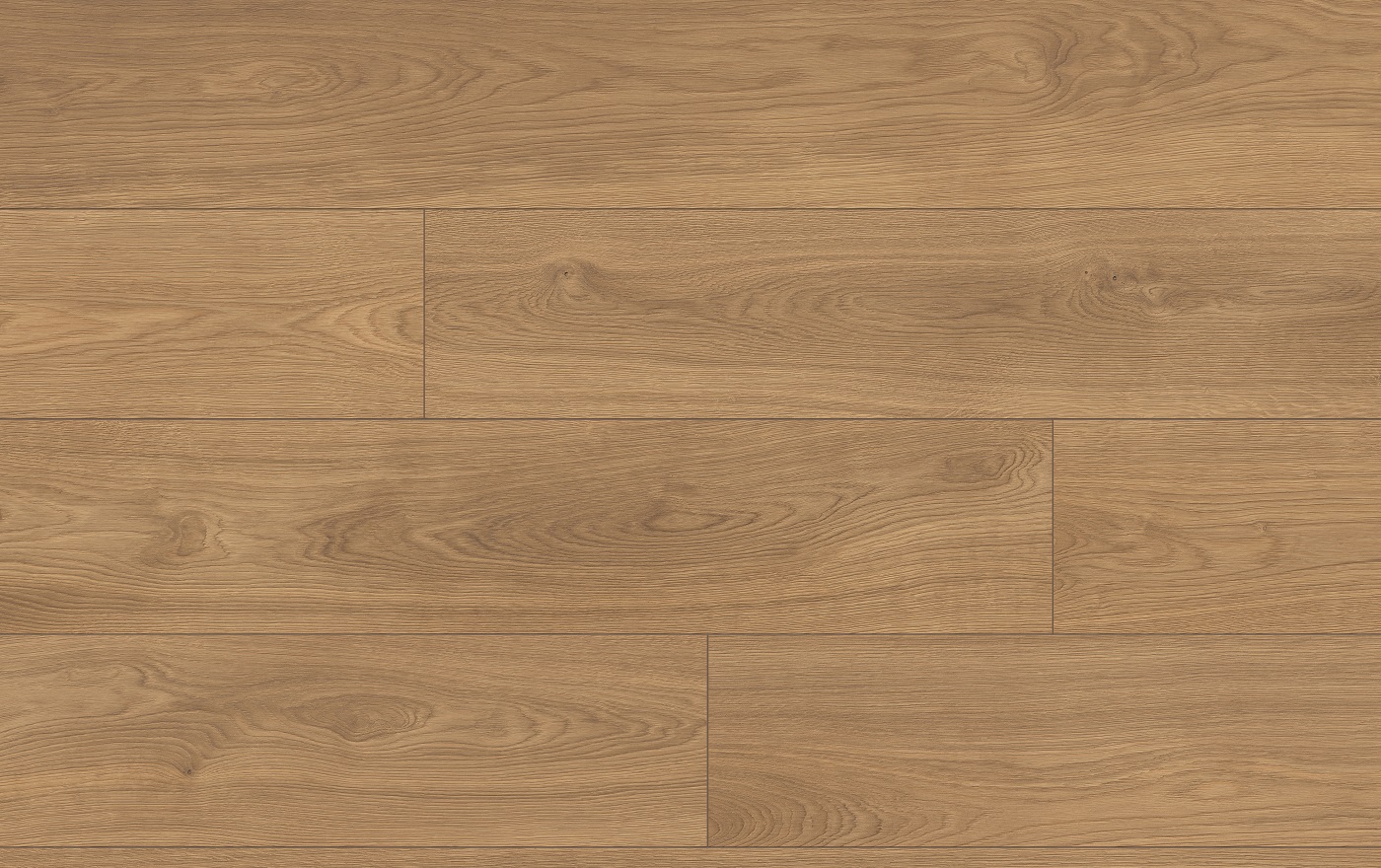 CLASSEN PRO NATURE 64637 DUB SAJO - obrázok 2