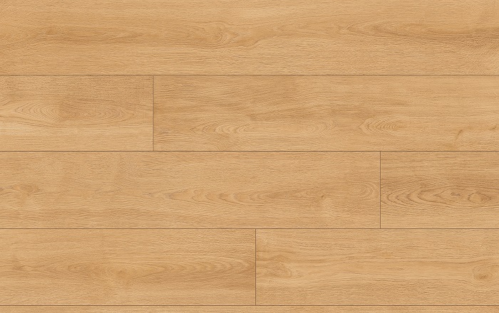 CLASSEN PRO NATURE 64632 DUB WAG - obrázok 2