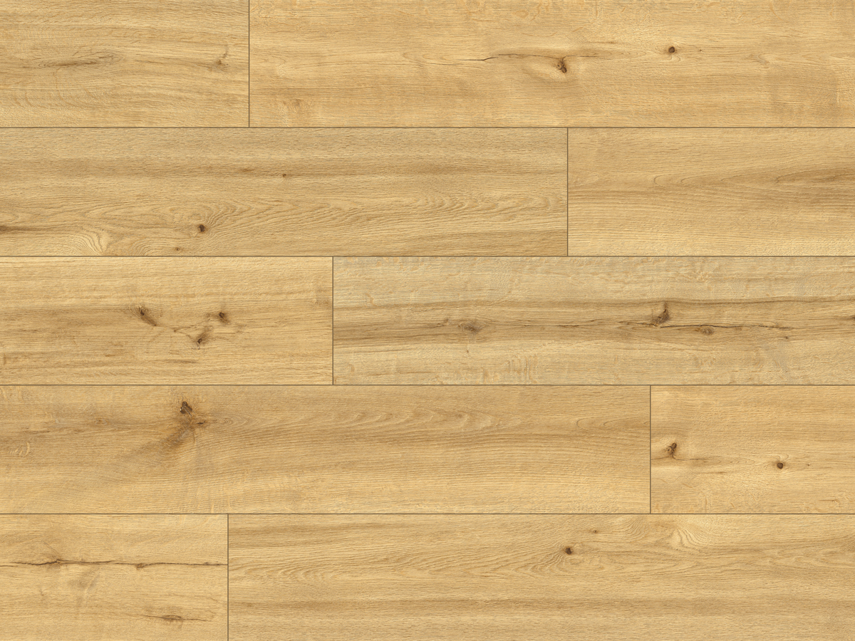 CLASSEN PRO NATURE 62536 MOCOA - obrázok 2