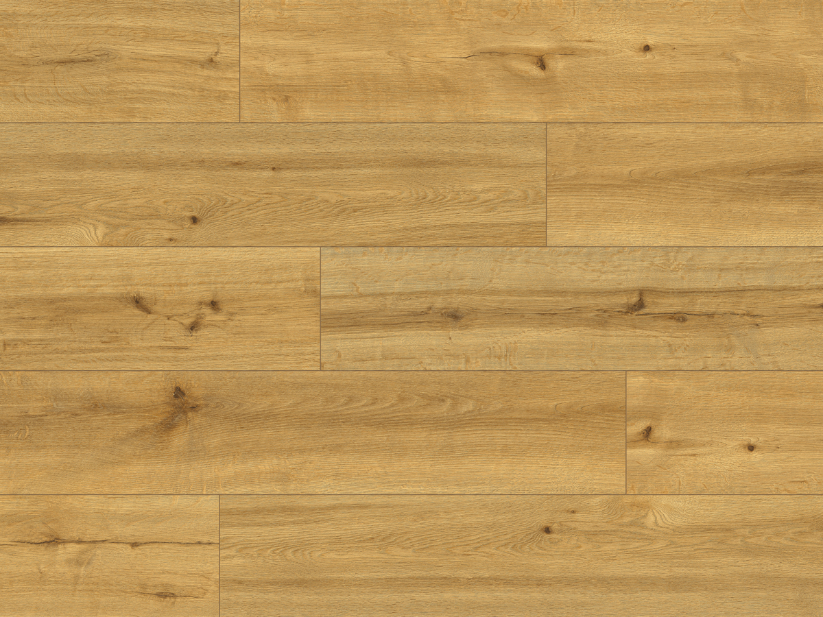 CLASSEN PRO NATURE 62538 SOLEDAD - obrázok 2