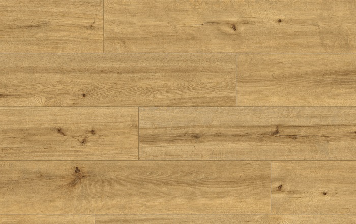 CLASSEN PRO NATURE 62541 SOACHA