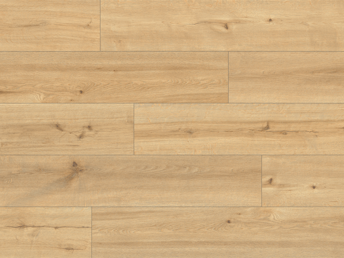 CLASSEN PRO NATURE 62539 MIRANDA - obrázok 2