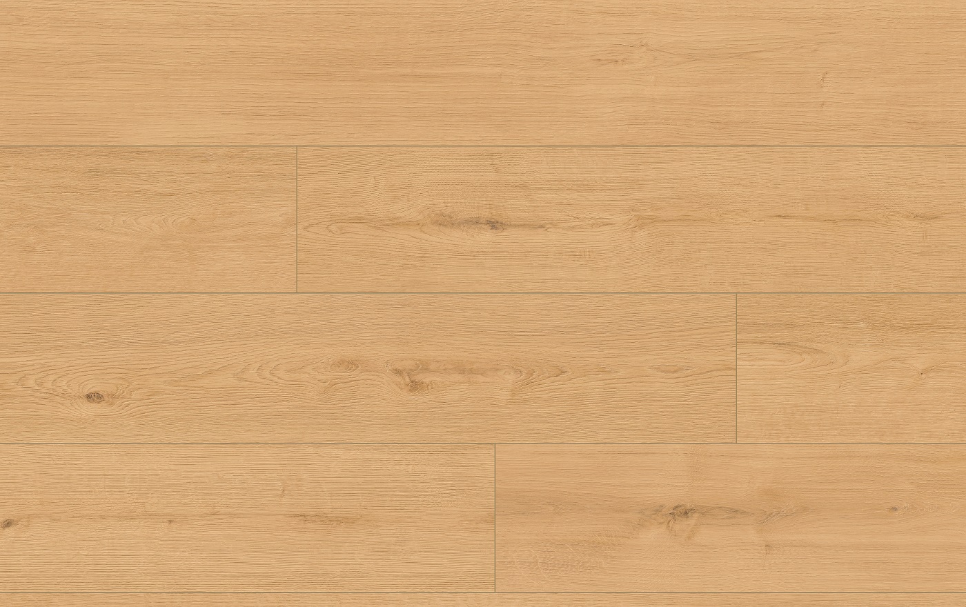 CLASSEN PRO NATURE 64633 DUB IPOLA - obrázok 2