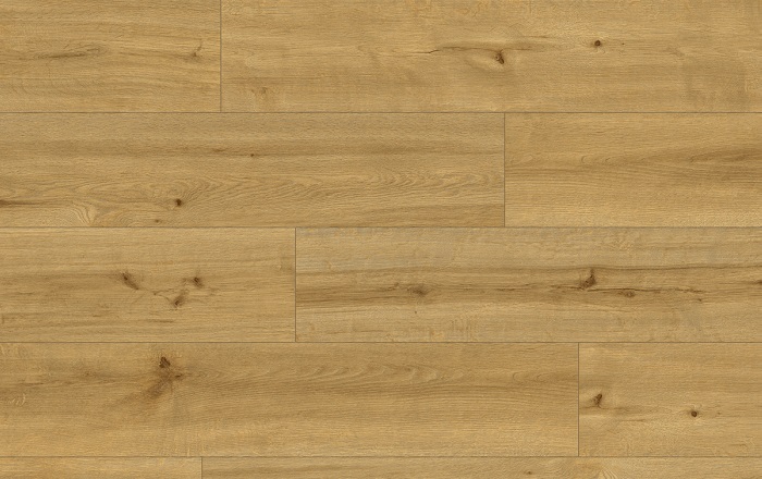 CLASSEN PRO NATURE 62543 CALDAS