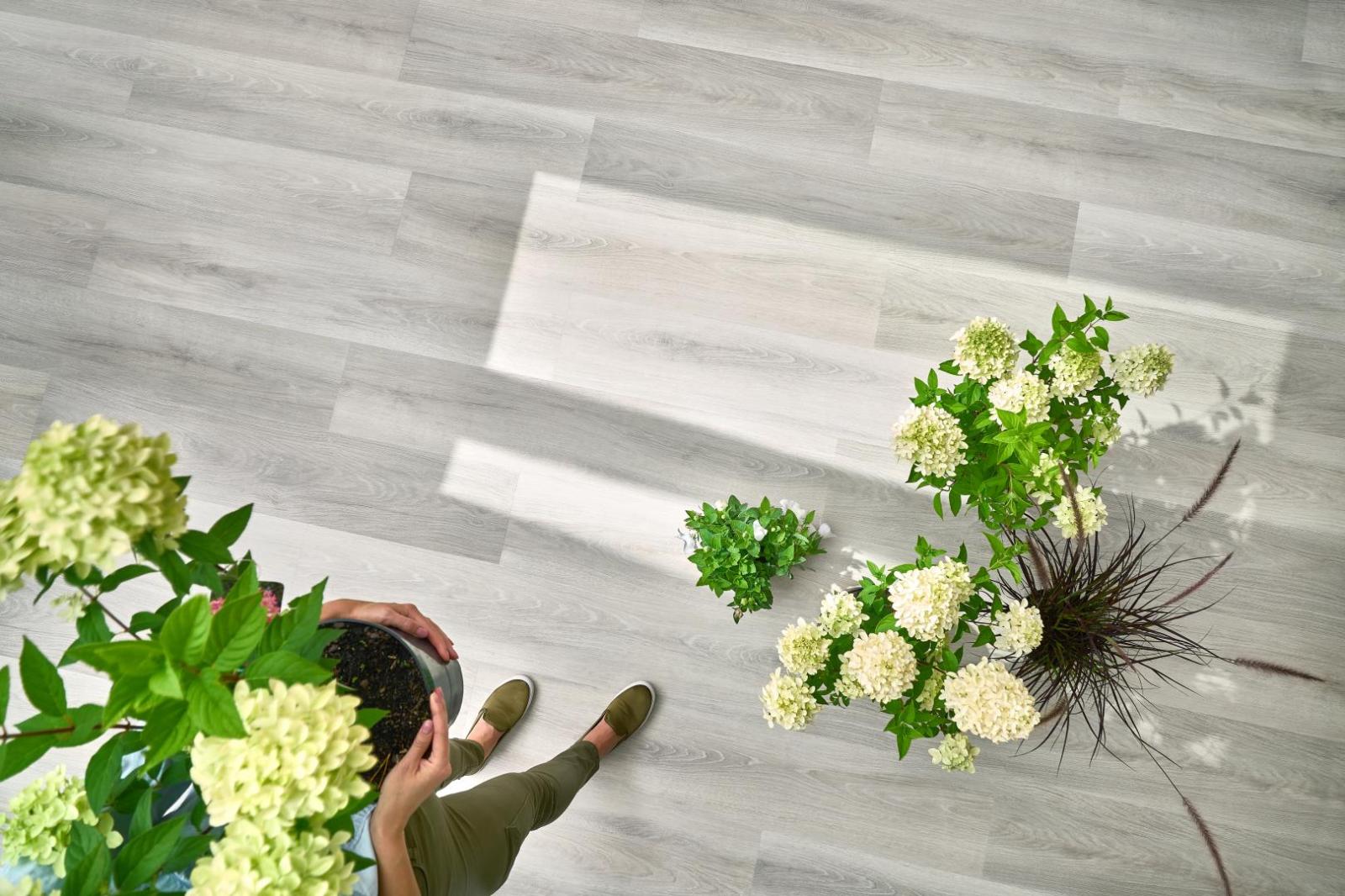 WOODRIC DUB WHITECREEK CW 175 - obrázok 4