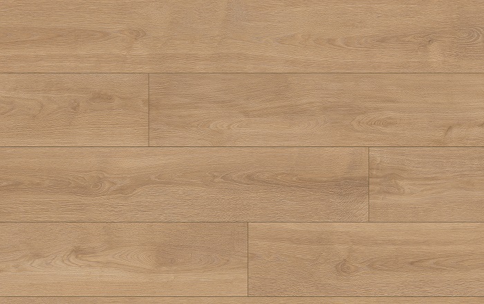 CLASSEN PRO NATURE 64634 DUB POPRAD