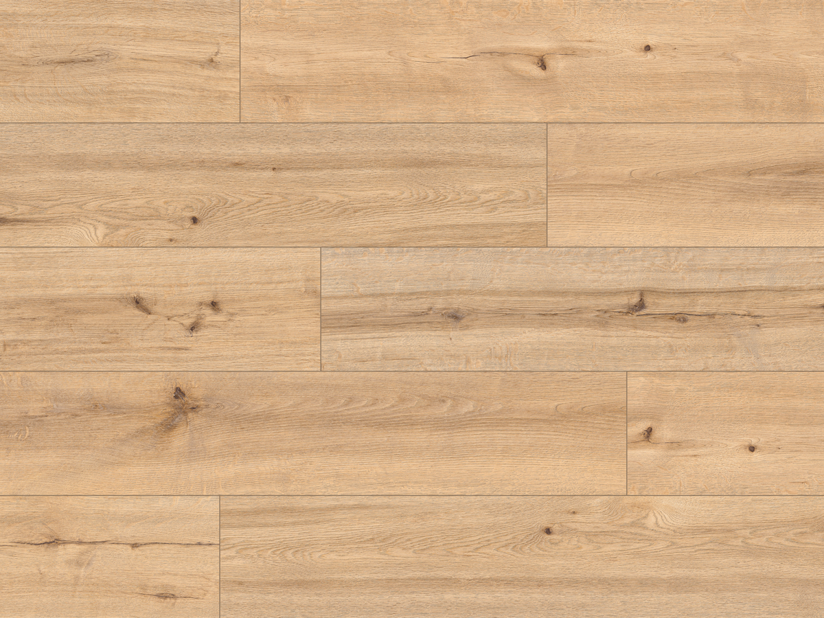 CLASSEN PRO NATURE 62537 BARRANQUILLA - obrázok 2