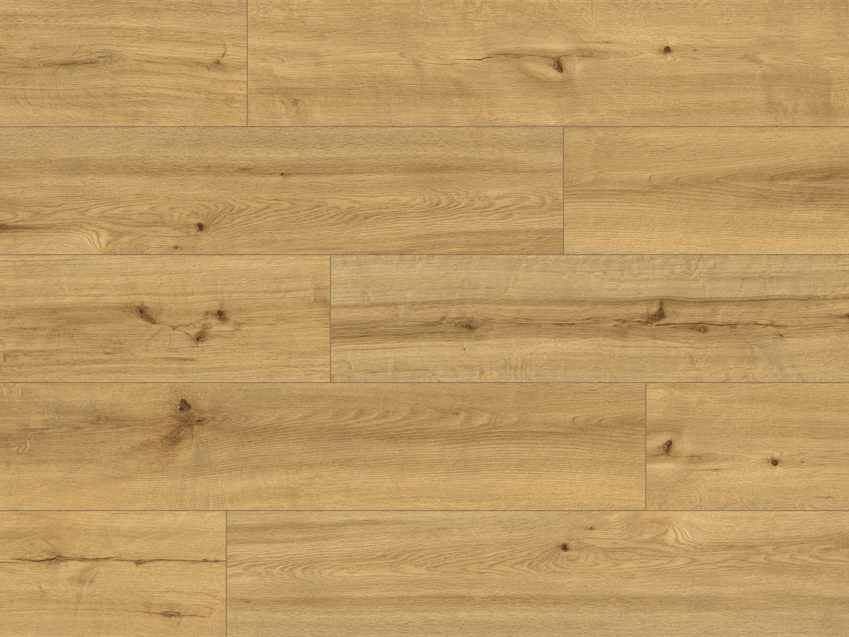 CLASSEN PRO NATURE 62541 SOACHA - obrázok 2