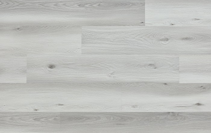 WOODRIC ACOUSTIC EIR DUB DAYTON CWSA 201