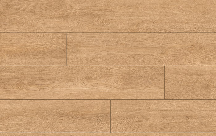 CLASSEN PRO NATURE 64636 DUB KYSUCA