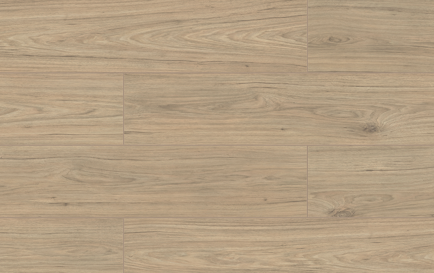 KASTAMONU WINGS FW003 HAWK 4V 8mm - obrázok 2